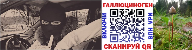 где продают   Колпашево  Галлюциногенные грибы мухоморы 